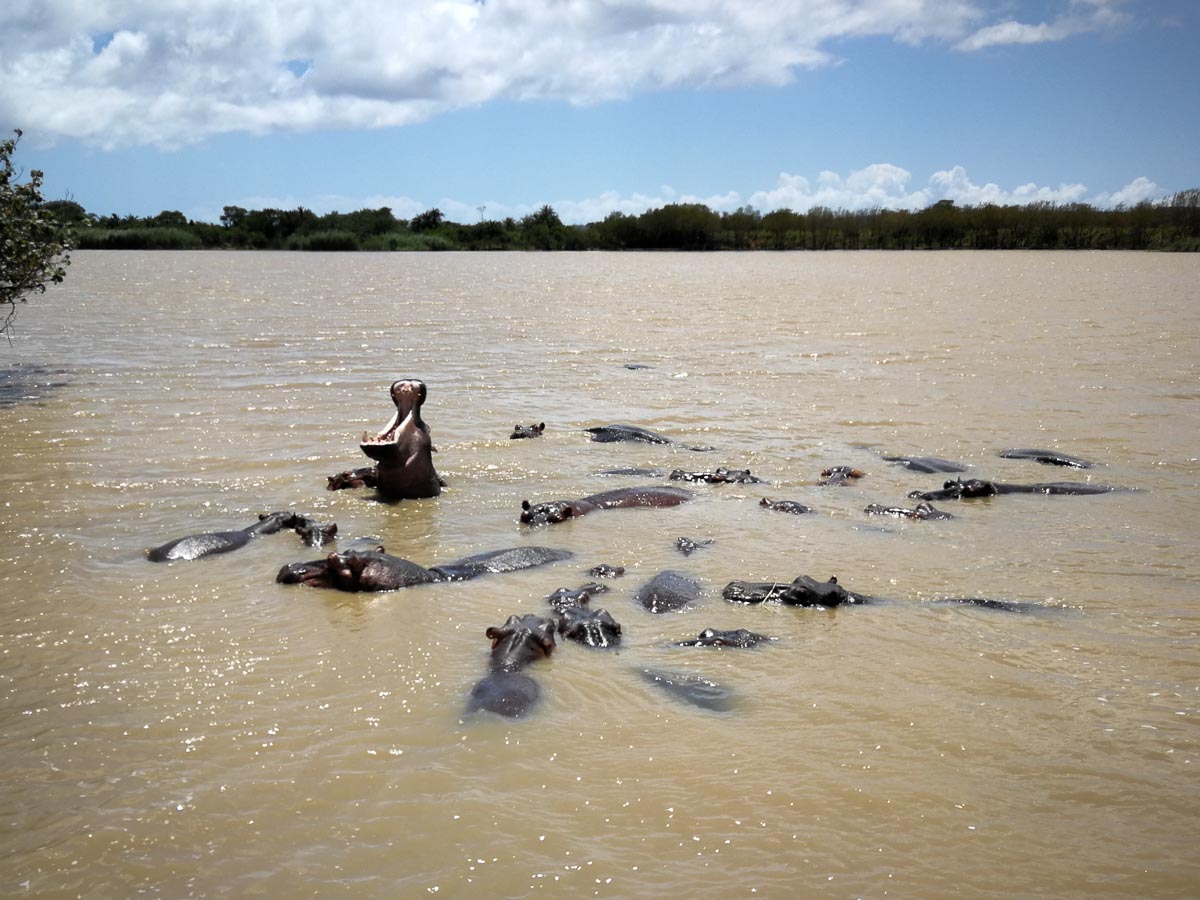 IMG_20190129_111858.jpg IMG_20190129_111858.jpg