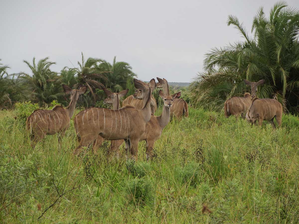 IMG_0948.jpg IMG_0948.jpg