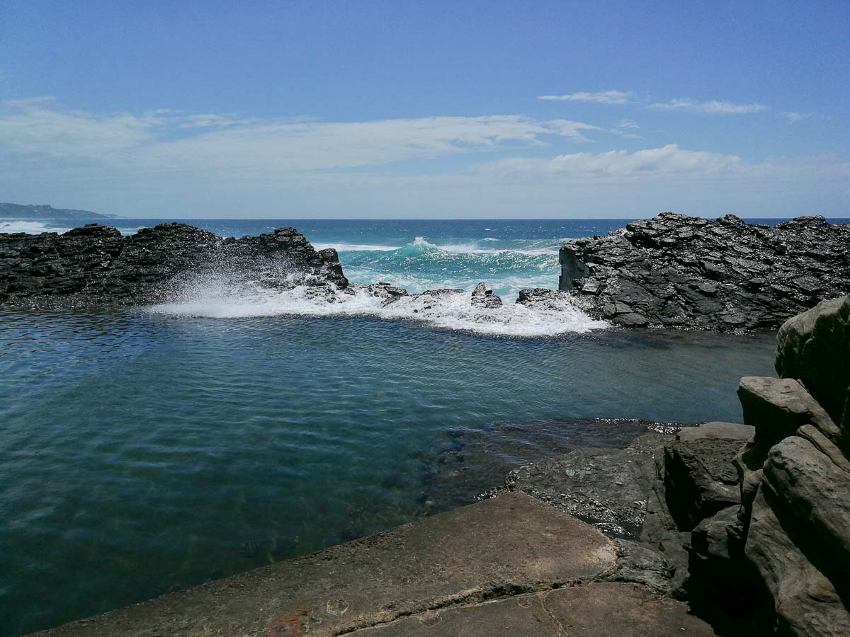 IMG_20190201_103810.jpg IMG_20190201_103810.jpg