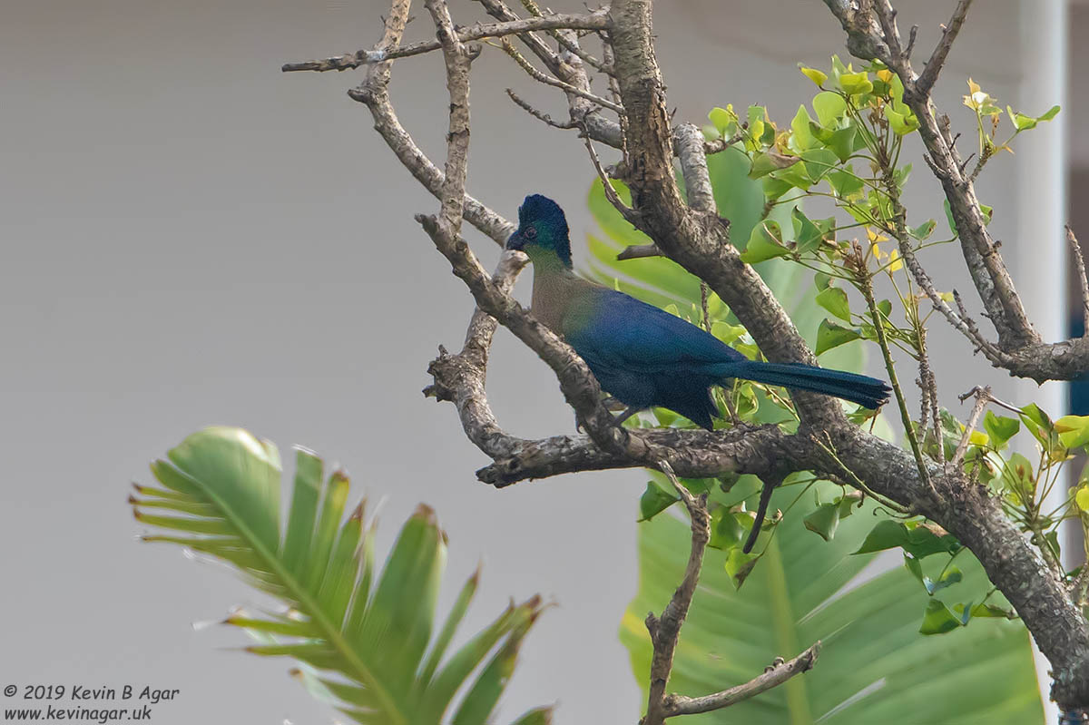 7D2_7767.jpg 7D2_7767.jpg