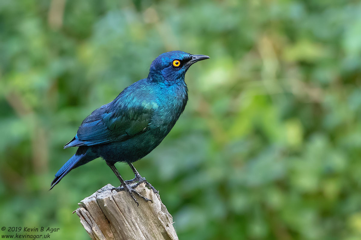 7D2_7792.jpg 7D2_7792.jpg