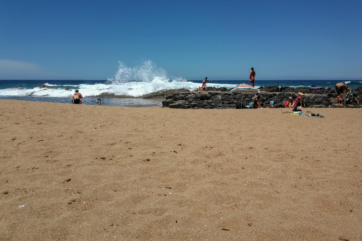 IMG_20190202_123635.jpg IMG_20190202_123635.jpg