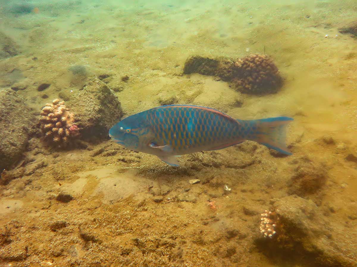 IMG_1179.jpg IMG_1179.jpg