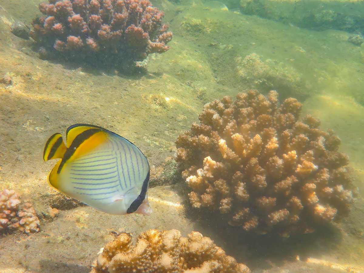 IMG_1268.jpg IMG_1268.jpg