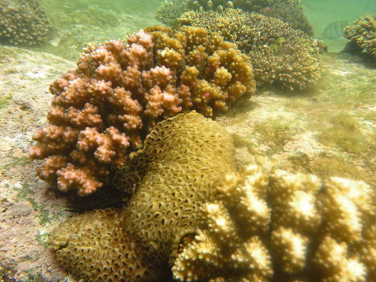 IMG_1285.jpg IMG_1285.jpg