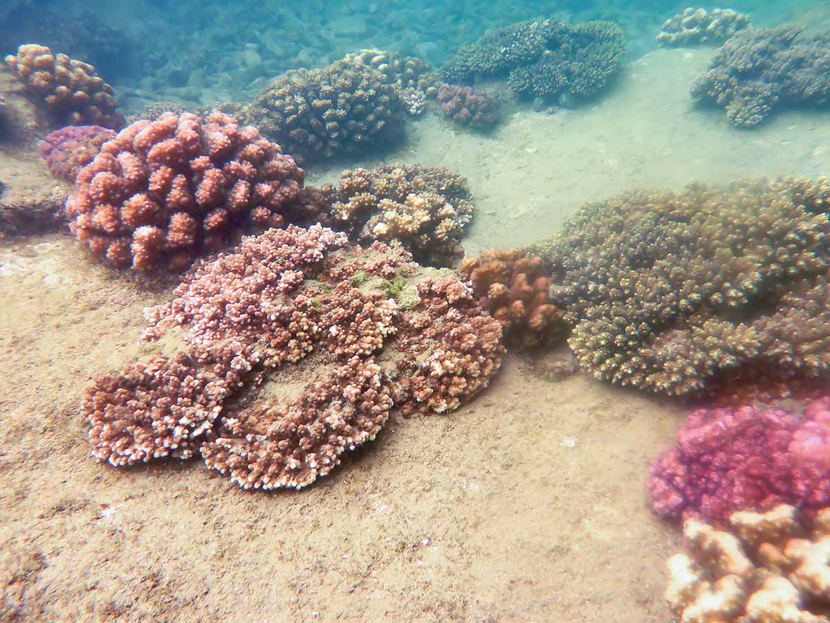 IMG_1286.jpg IMG_1286.jpg