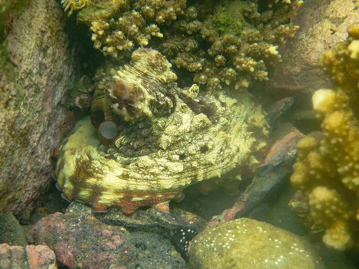 IMG_1303.jpg IMG_1303.jpg