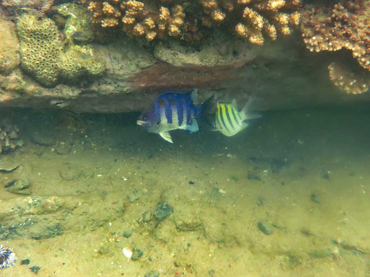 IMG_1331.jpg IMG_1331.jpg