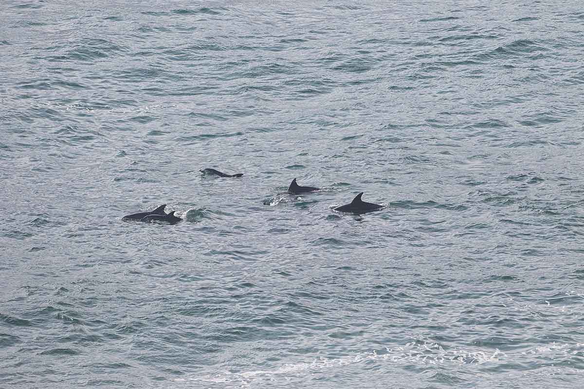 7D2_7823.jpg 7D2_7823.jpg