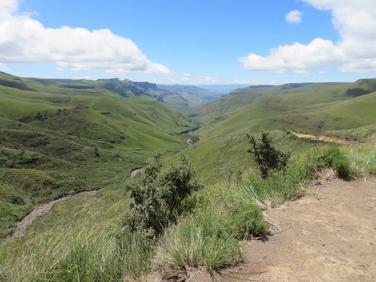 IMG_1503.jpg IMG_1503.jpg