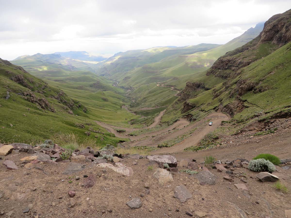 IMG_1513.jpg IMG_1513.jpg