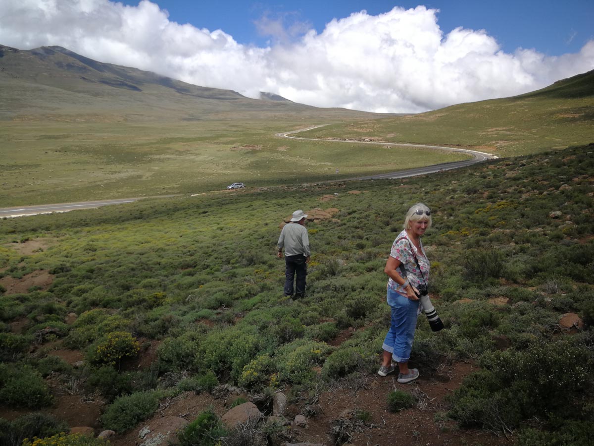 IMG_20190206_125218.jpg IMG_20190206_125218.jpg