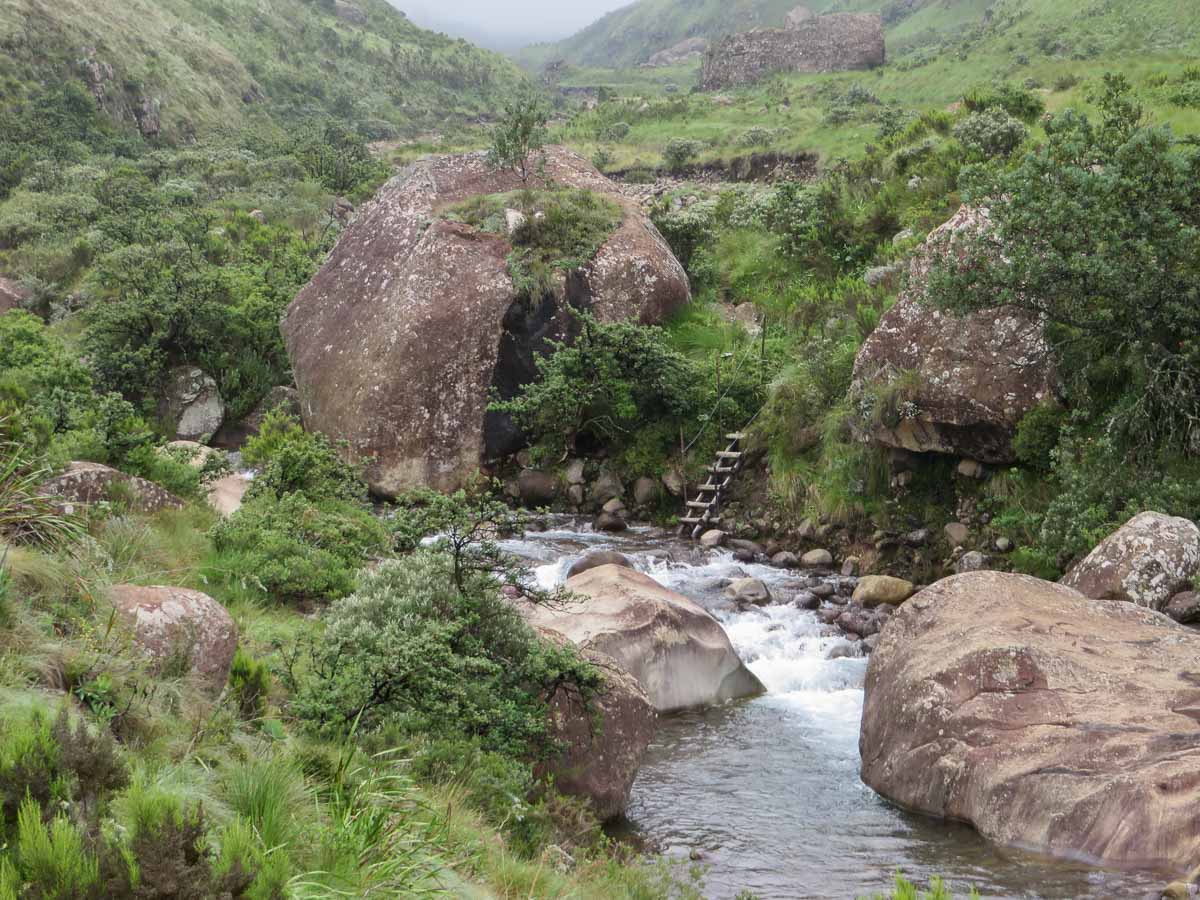 IMG_1538.jpg IMG_1538.jpg