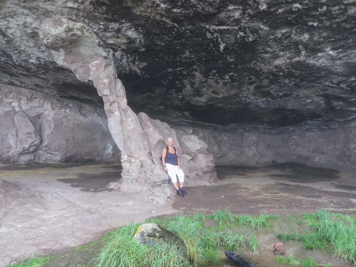 IMG_1550.jpg IMG_1550.jpg