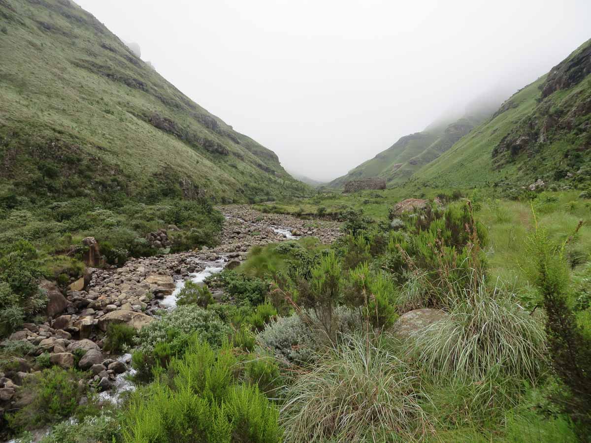 IMG_1541.jpg IMG_1541.jpg