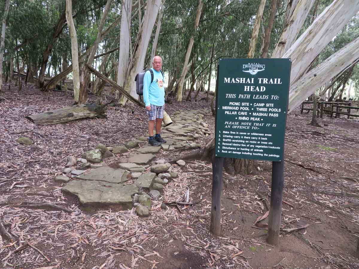 IMG_1520.jpg IMG_1520.jpg