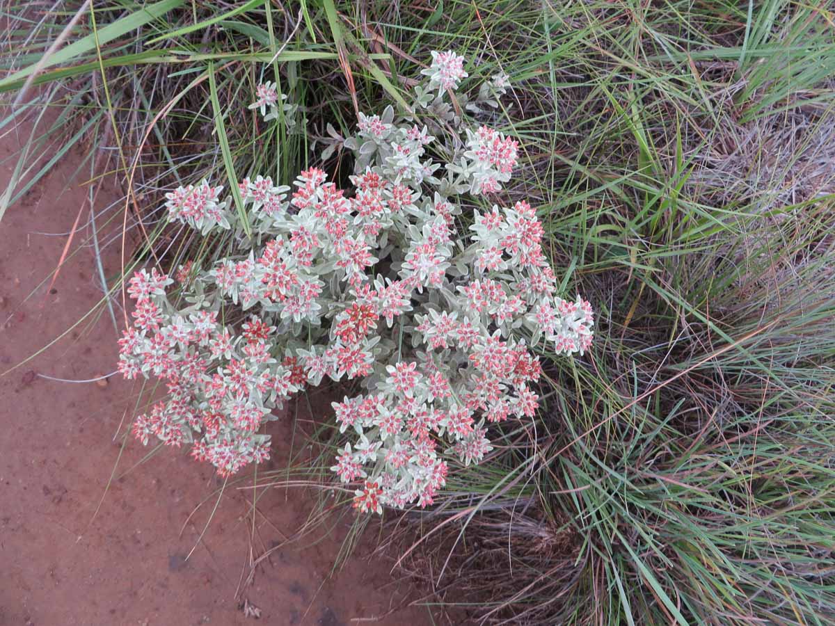 IMG_1596.jpg IMG_1596.jpg