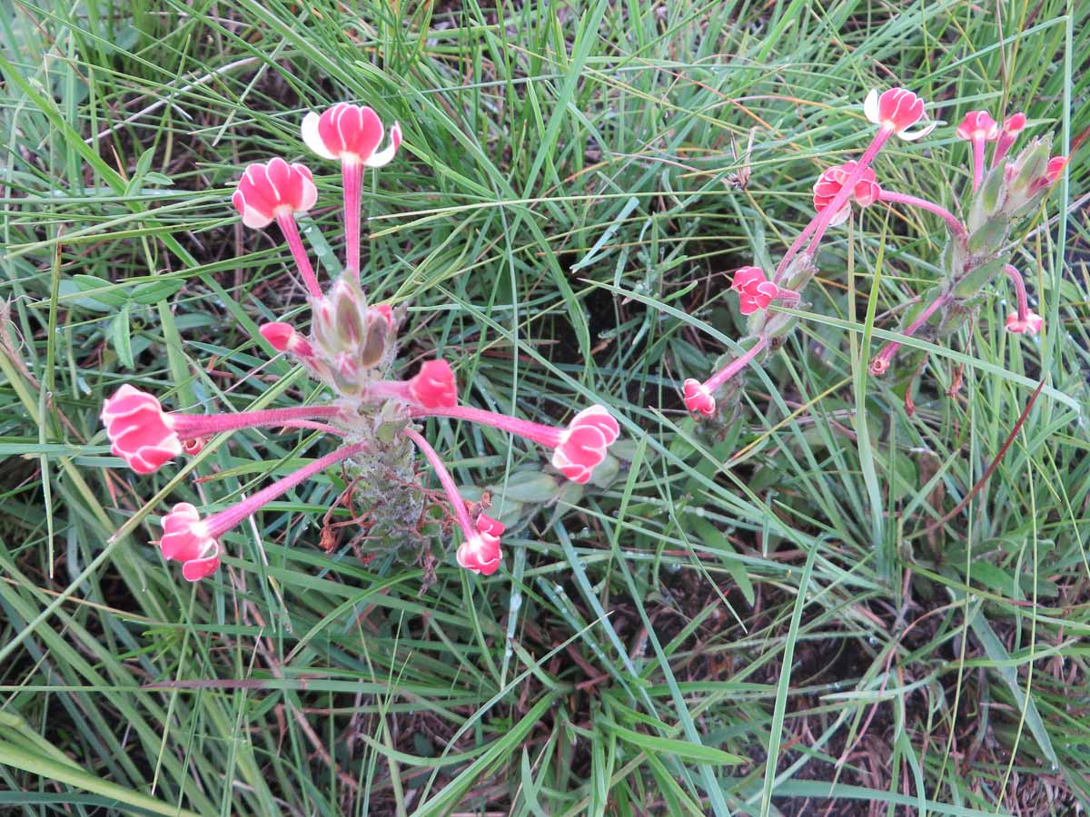 IMG_1597.jpg IMG_1597.jpg