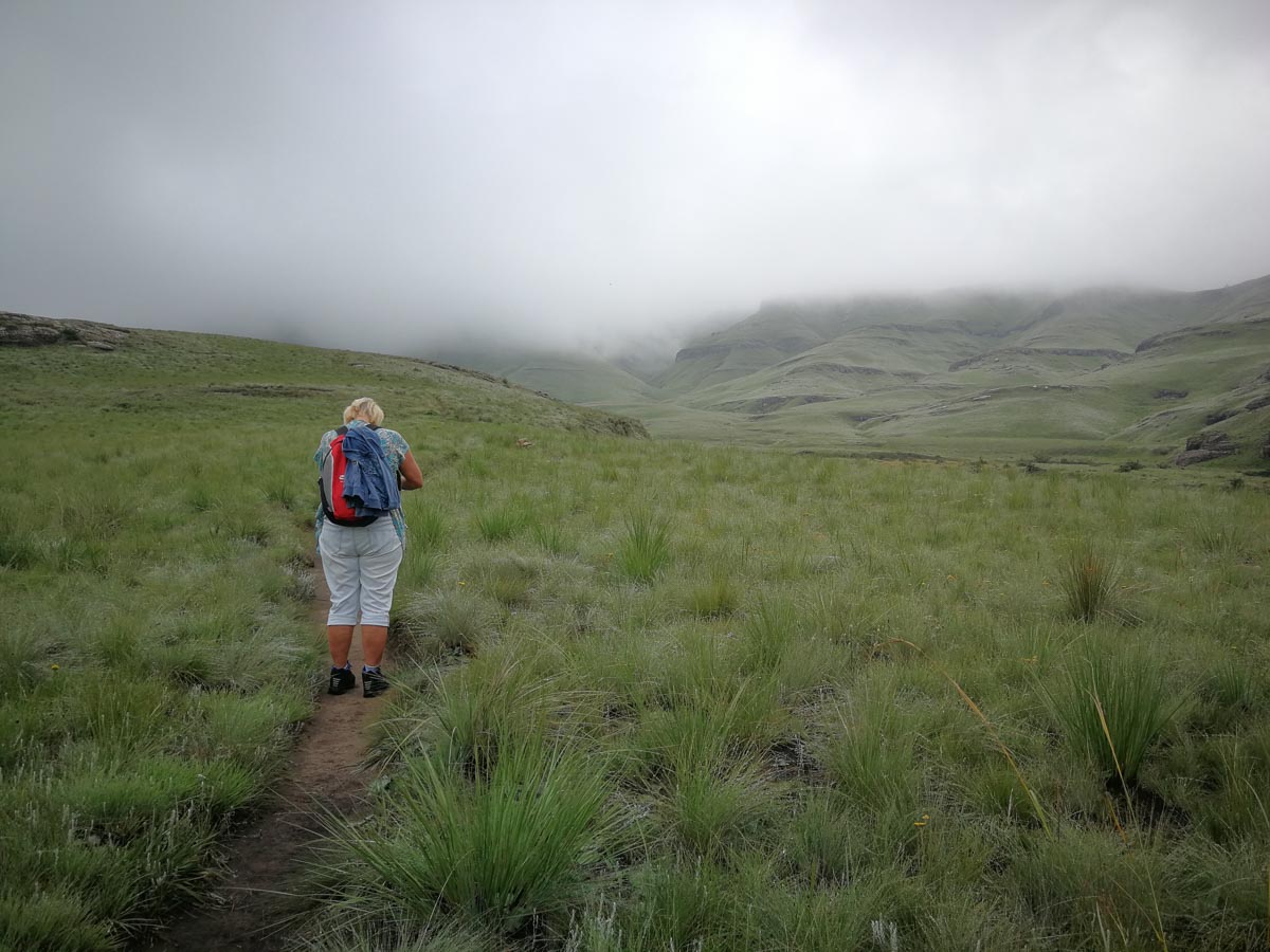 IMG_20190207_114330.jpg IMG_20190207_114330.jpg