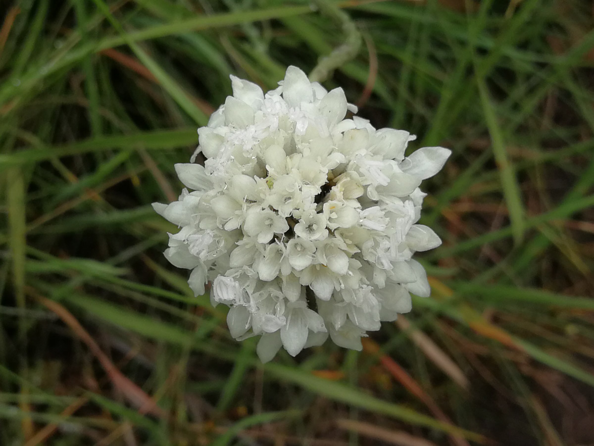 IMG_20190207_143002.jpg IMG_20190207_143002.jpg