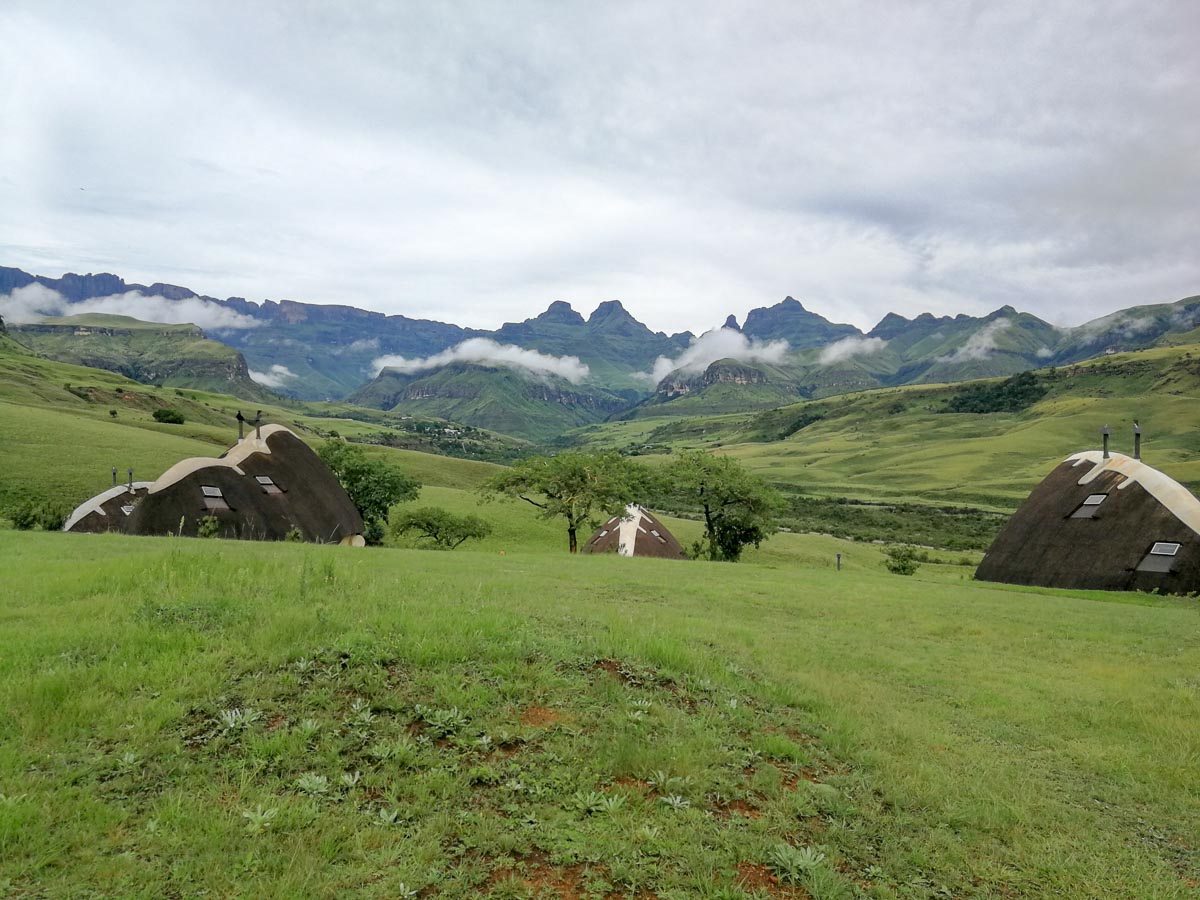 IMG_20190212_080650.jpg IMG_20190212_080650.jpg