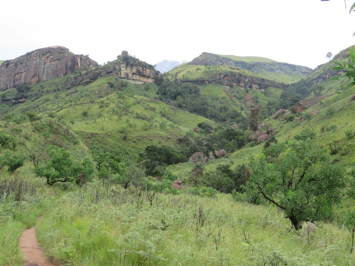 IMG_1675.jpg IMG_1675.jpg