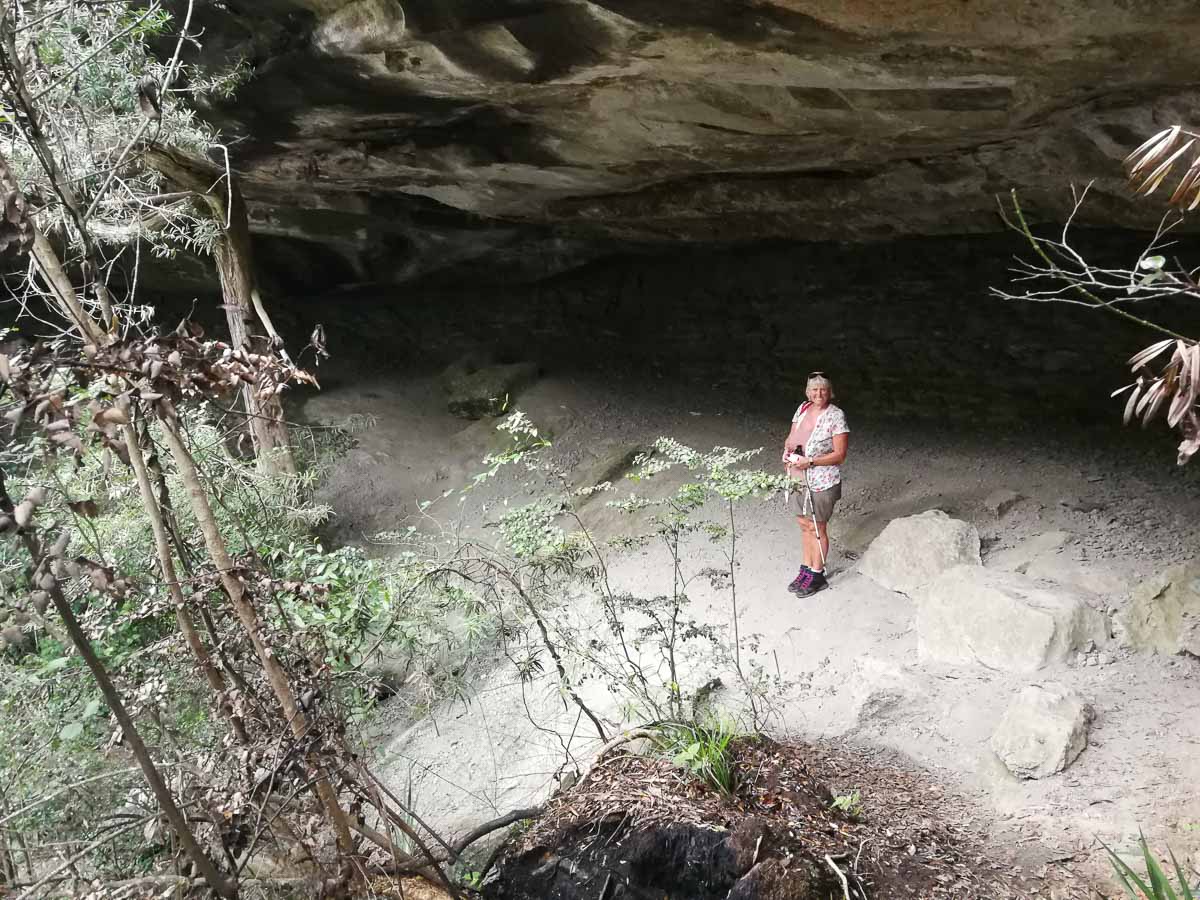 IMG_20190210_111305.jpg IMG_20190210_111305.jpg