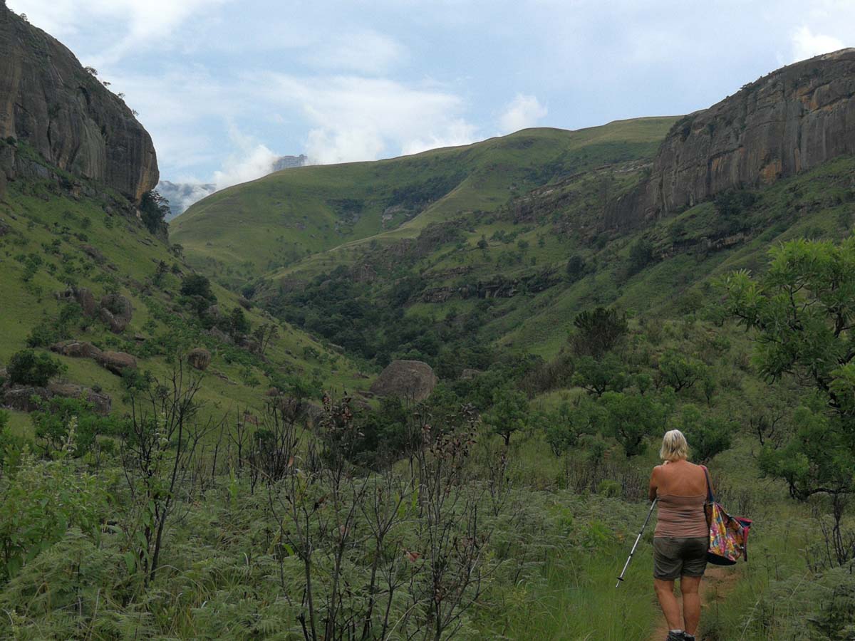 IMG_20190210_112338.jpg IMG_20190210_112338.jpg