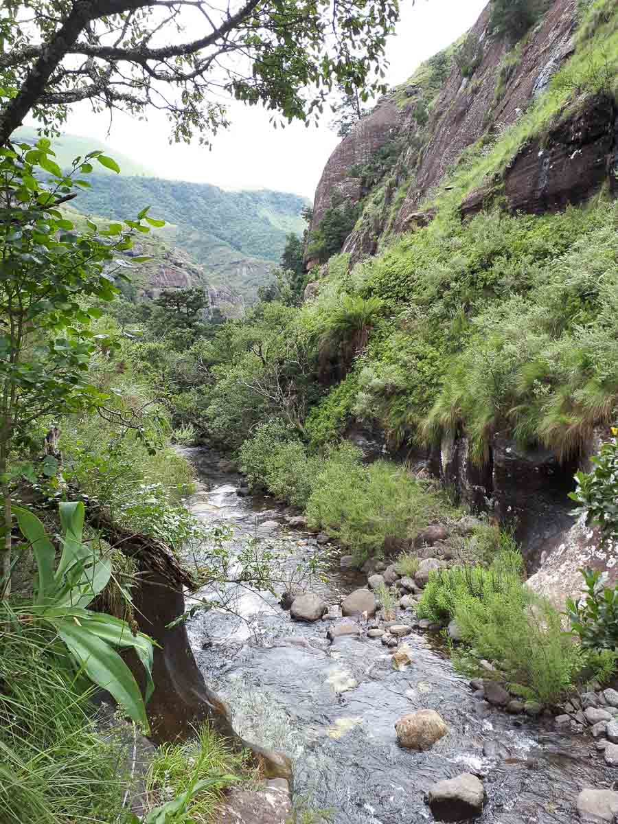 20190211_105803.jpg 20190211_105803.jpg