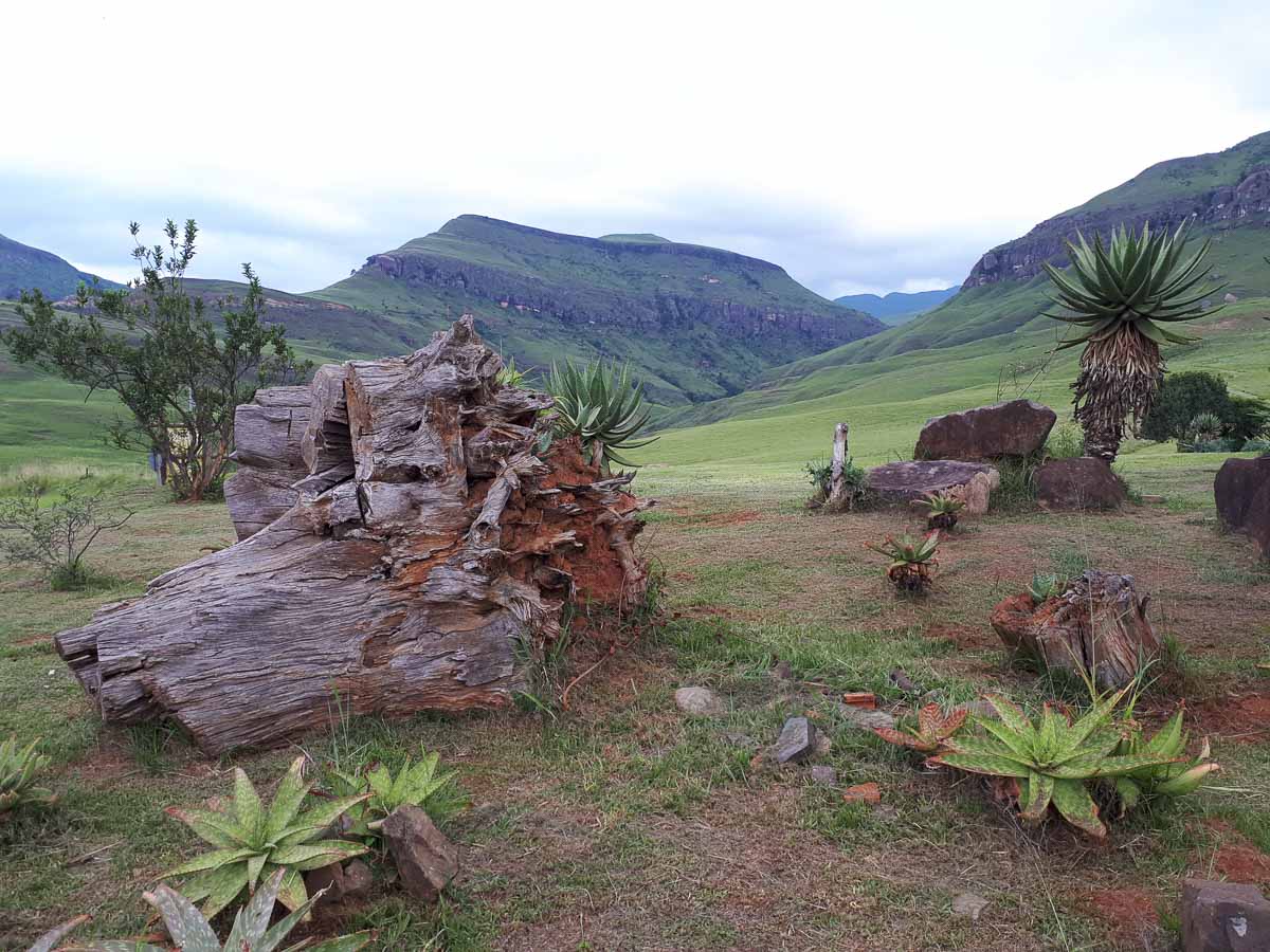 20190211_172346.jpg 20190211_172346.jpg