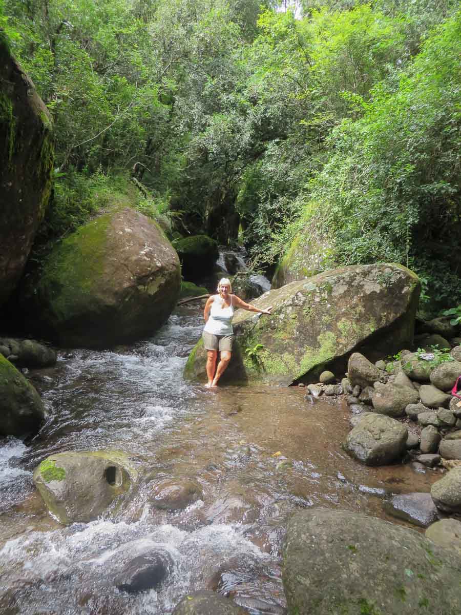 IMG_1708.jpg IMG_1708.jpg