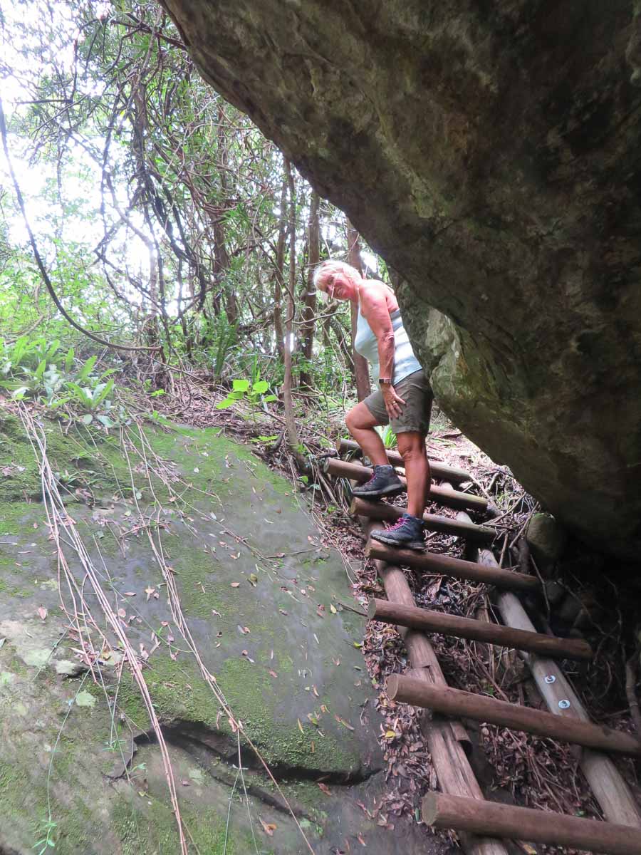 IMG_1713.jpg IMG_1713.jpg