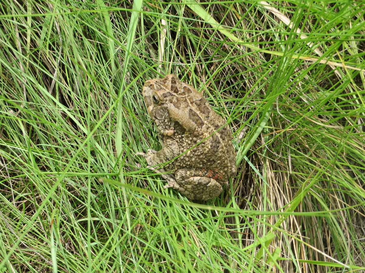 IMG_1726.jpg IMG_1726.jpg