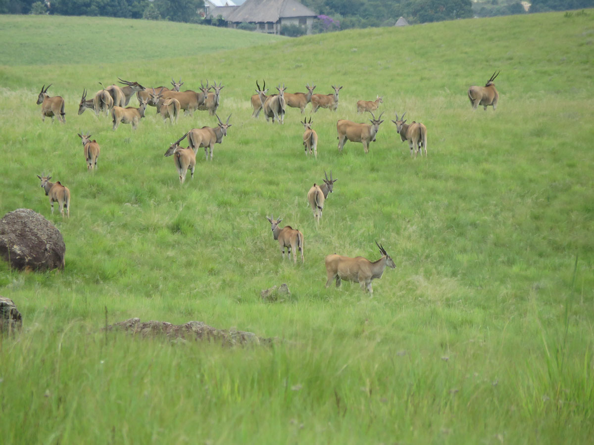 IMG_1753.jpg IMG_1753.jpg