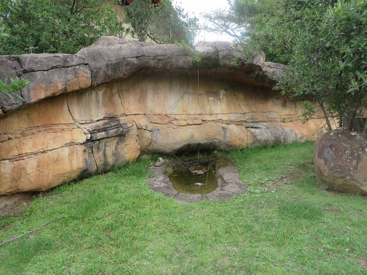 IMG_1766.jpg IMG_1766.jpg