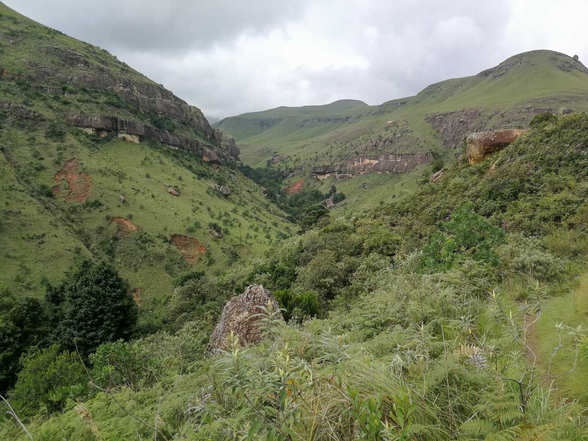 IMG_20190211_093241.jpg IMG_20190211_093241.jpg