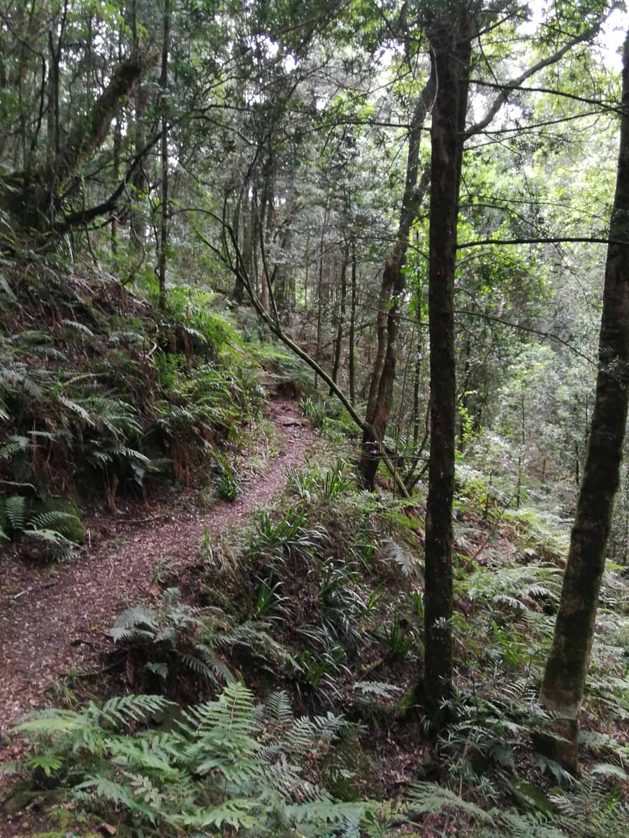 IMG_20190211_094252.jpg IMG_20190211_094252.jpg