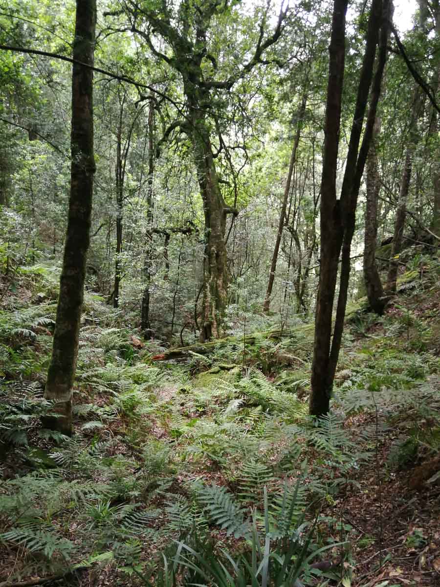 IMG_20190211_094255.jpg IMG_20190211_094255.jpg