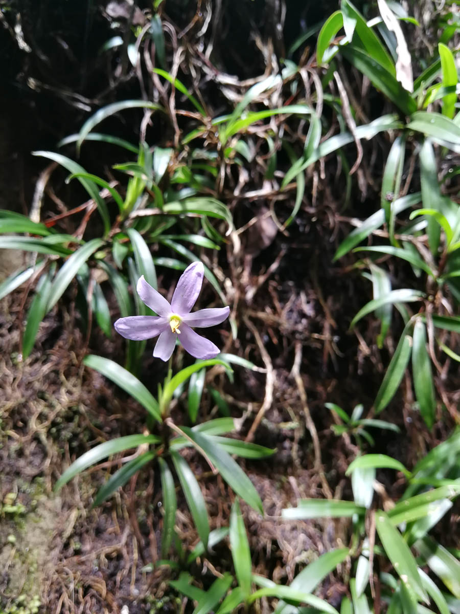 IMG_20190211_101114.jpg IMG_20190211_101114.jpg