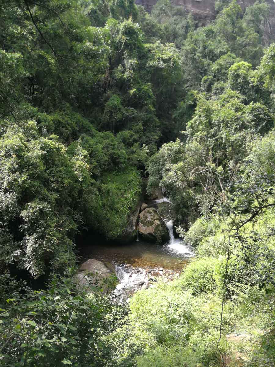 IMG_20190211_102855.jpg IMG_20190211_102855.jpg