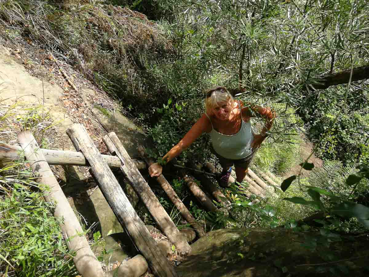 IMG_20190211_103311.jpg IMG_20190211_103311.jpg