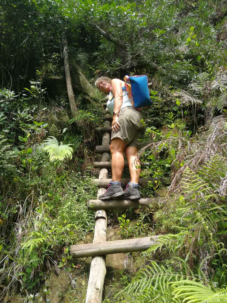 IMG_20190211_112324.jpg IMG_20190211_112324.jpg