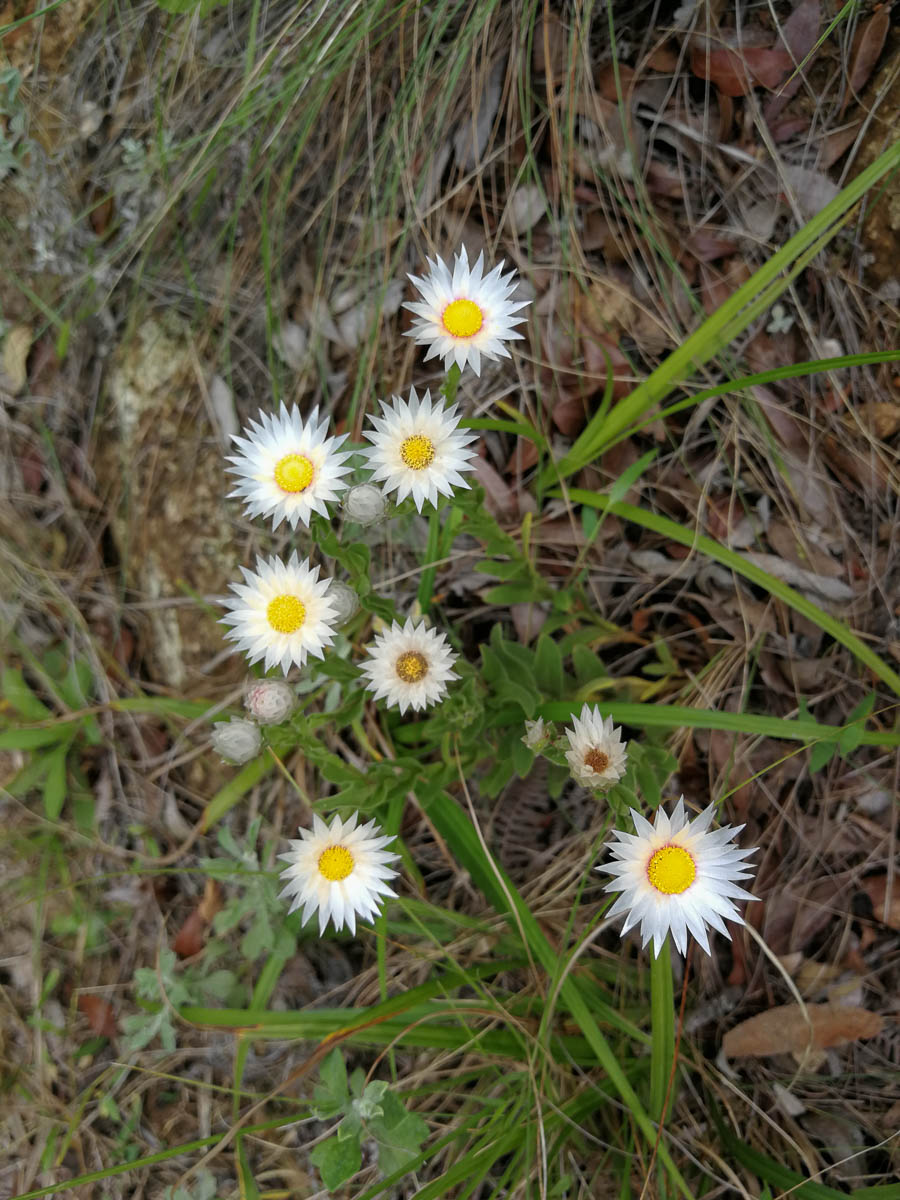 IMG_20190211_121157.jpg IMG_20190211_121157.jpg