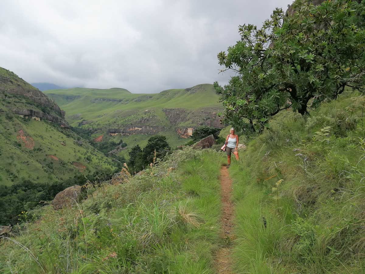 IMG_20190211_123219.jpg IMG_20190211_123219.jpg