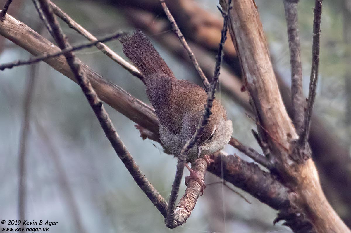 7D2_9305.jpg 7D2_9305.jpg