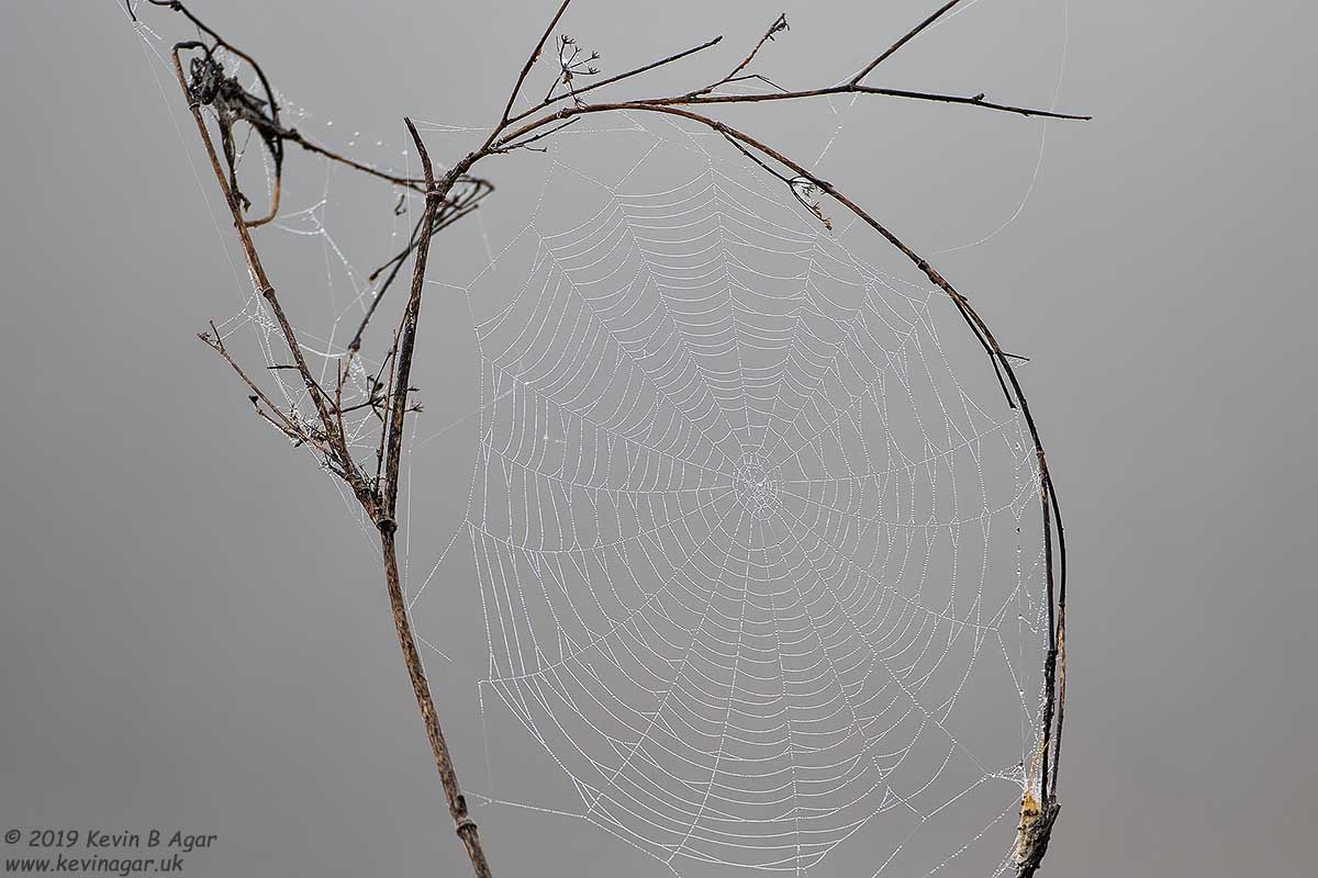 7D2_9315.jpg 7D2_9315.jpg