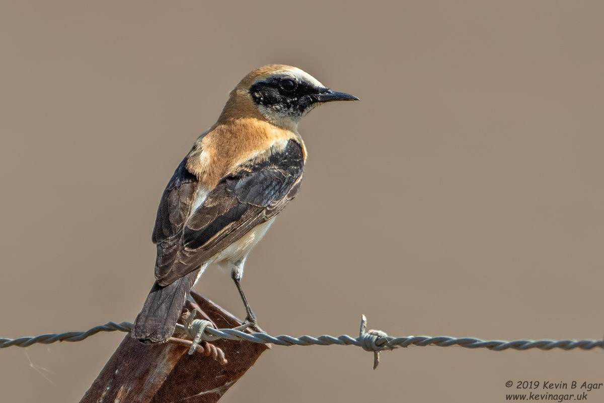 7D2_9543.jpg 7D2_9543.jpg