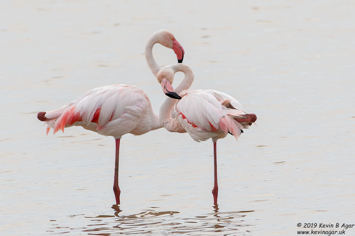 7D2_9604.jpg 7D2_9604.jpg