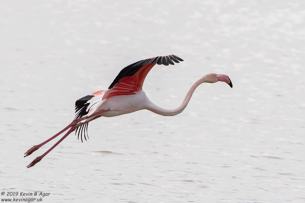 7D2_9609.jpg 7D2_9609.jpg