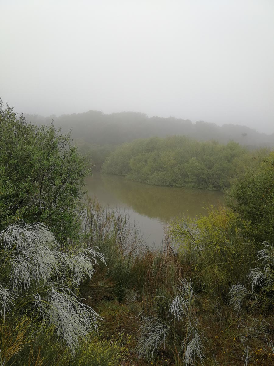 IMG_20190402_102455.jpg IMG_20190402_102455.jpg